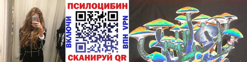 Галлюциногенные грибы Magic Shrooms  продажа наркотиков  Салехард 