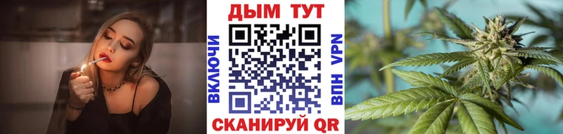 mega как войти  дарнет шоп  Салехард  Каннабис индика 